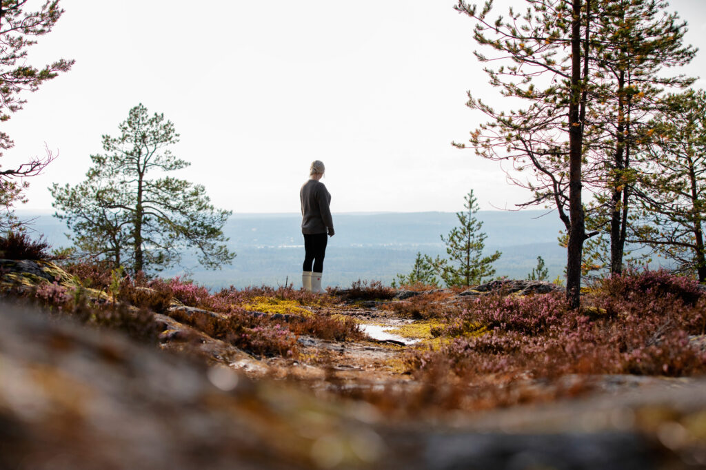 Sava-Group-Rovaniemi